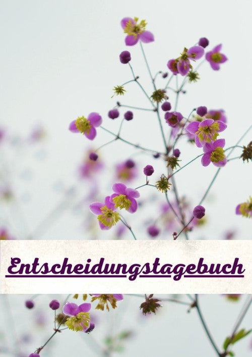 Dein Entscheidungstagebuch (Arbeitsbuch)