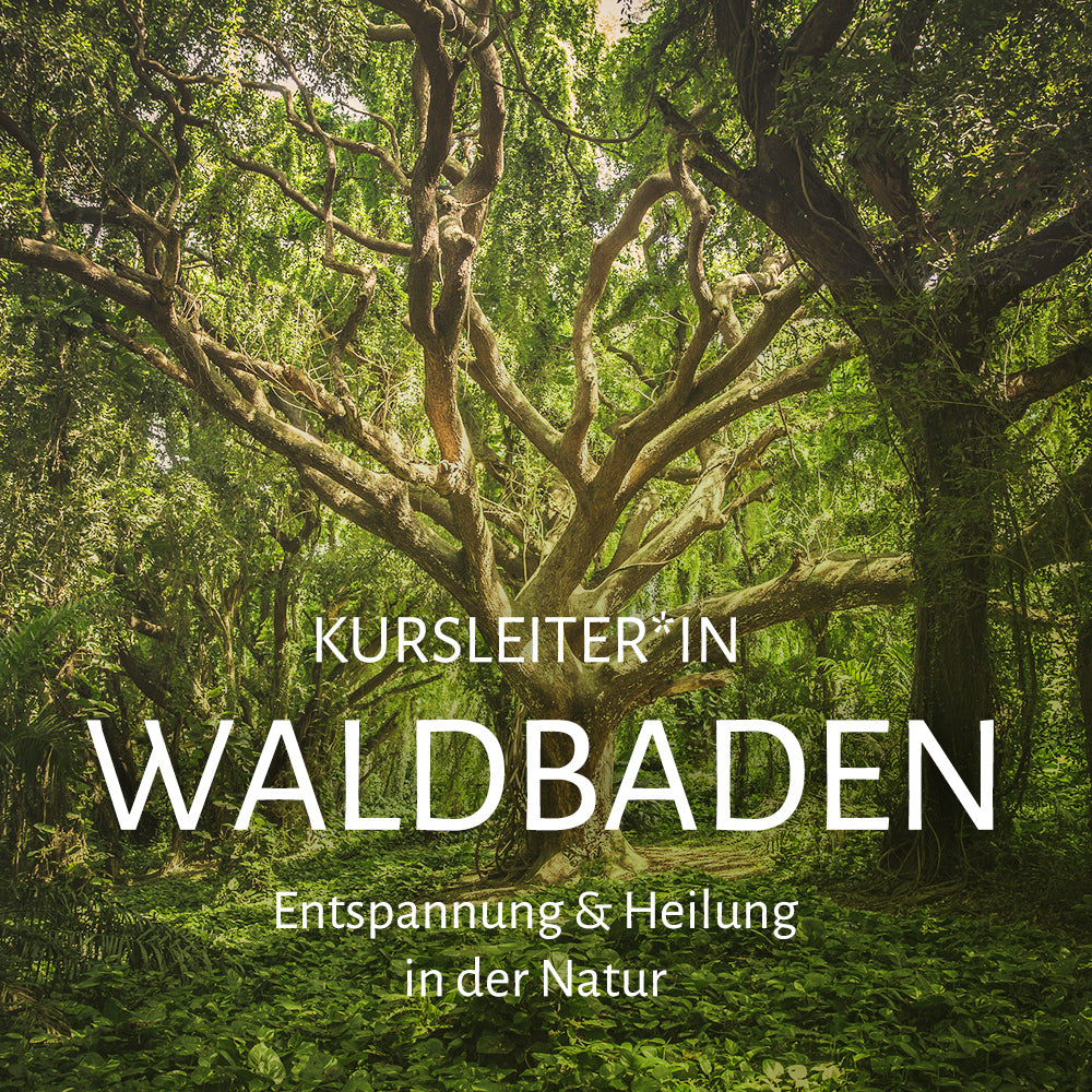 Online-Ausbildung - "Waldbaden und Naturtherapie"